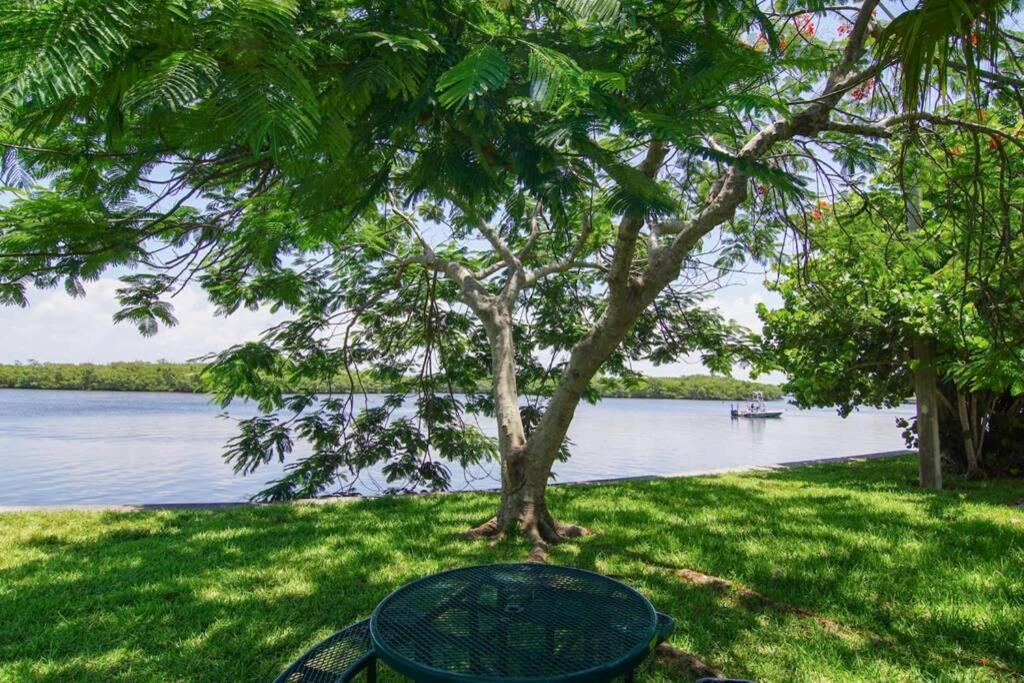 Sea Breeze, Studio 510, Beach Steps Away!+Pool+Wifi Ruskin Luaran gambar